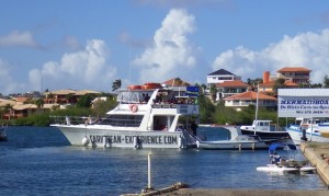 Charter in erfolgreich - ganze Busladungen werden hierher gekarrt um dann eine Bootstour zu unternehmen