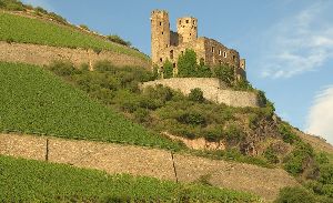 Burg Ehrenfels.jpg